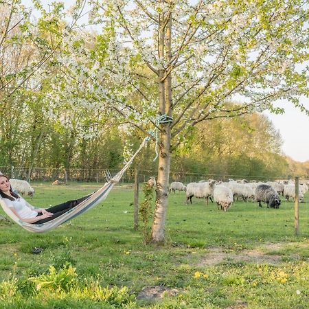 Pipowagen Lidewei Groningen Westerwolde Unieke Ligging Met Eigen Tuin En Vrij Uitzicht Over Veld Naar Natuurgebied Onstwedde Exterior photo