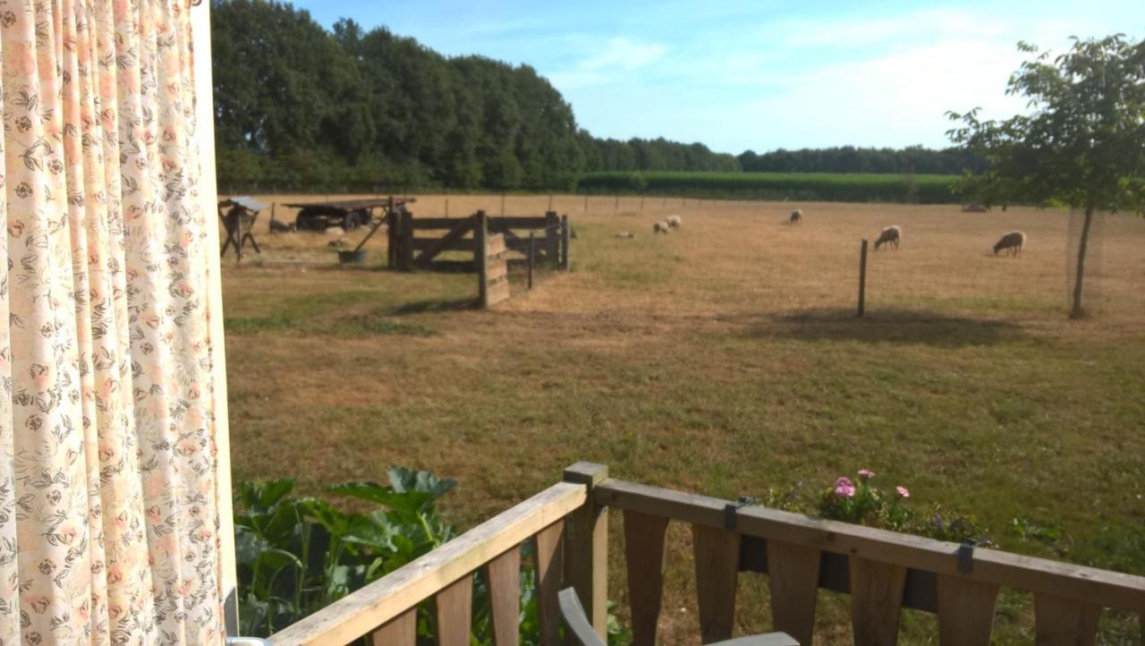 Pipowagen Lidewei Groningen Westerwolde Unieke Ligging Met Eigen Tuin En Vrij Uitzicht Over Veld Naar Natuurgebied Onstwedde Exterior photo