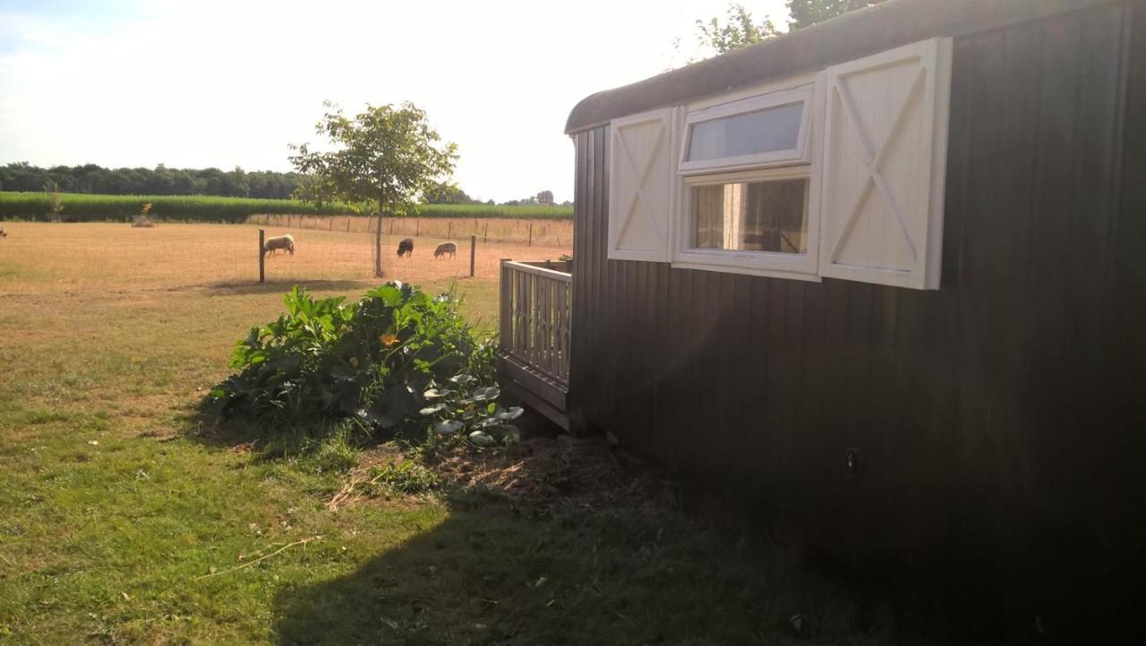 Pipowagen Lidewei Groningen Westerwolde Unieke Ligging Met Eigen Tuin En Vrij Uitzicht Over Veld Naar Natuurgebied Onstwedde Exterior photo