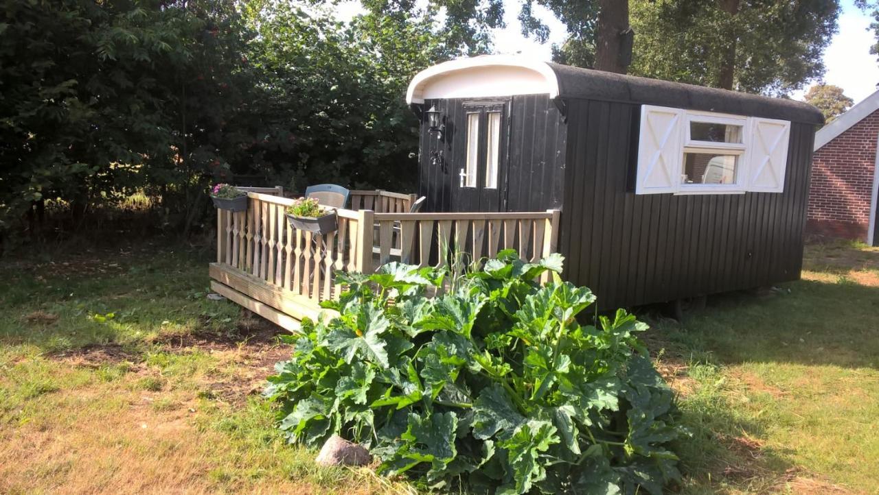 Pipowagen Lidewei Groningen Westerwolde Unieke Ligging Met Eigen Tuin En Vrij Uitzicht Over Veld Naar Natuurgebied Onstwedde Exterior photo