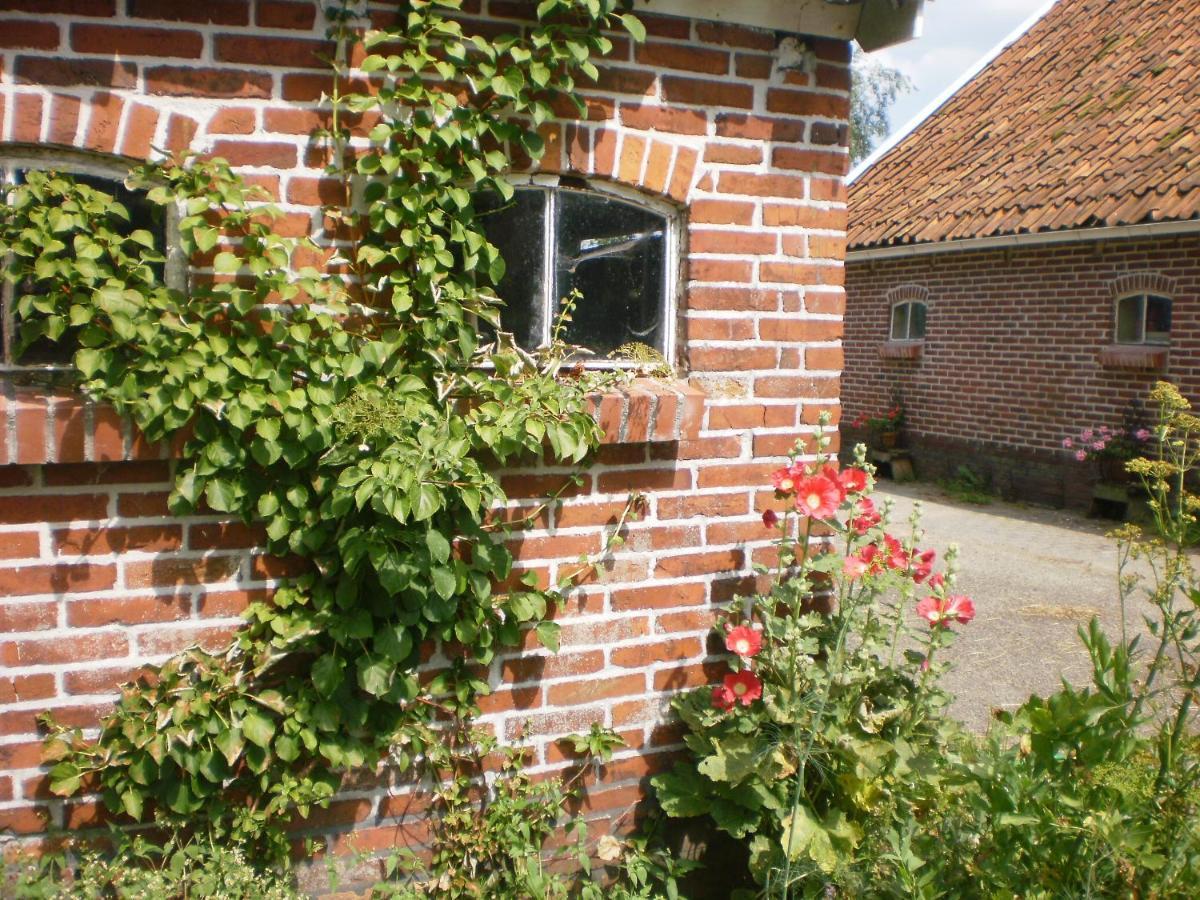 Pipowagen Lidewei Groningen Westerwolde Unieke Ligging Met Eigen Tuin En Vrij Uitzicht Over Veld Naar Natuurgebied Onstwedde Exterior photo