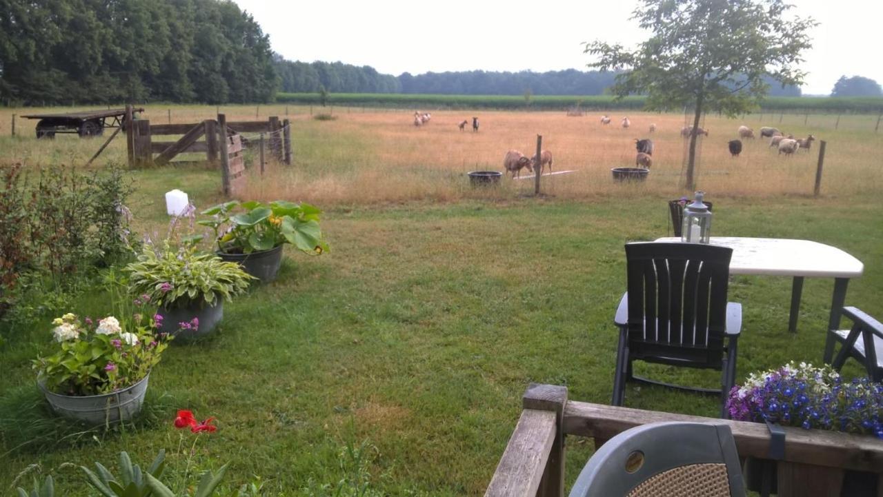 Pipowagen Lidewei Groningen Westerwolde Unieke Ligging Met Eigen Tuin En Vrij Uitzicht Over Veld Naar Natuurgebied Onstwedde Exterior photo