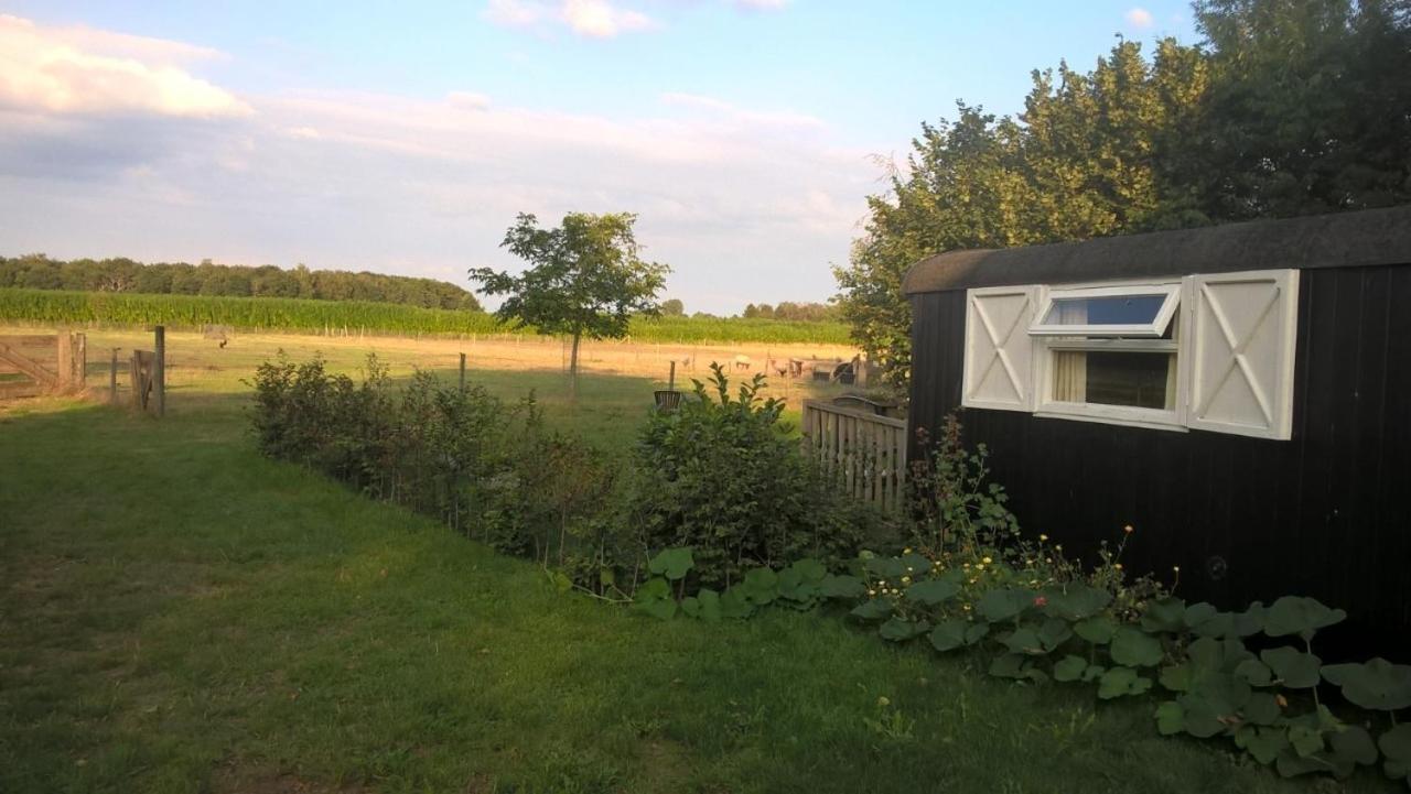 Pipowagen Lidewei Groningen Westerwolde Unieke Ligging Met Eigen Tuin En Vrij Uitzicht Over Veld Naar Natuurgebied Onstwedde Exterior photo